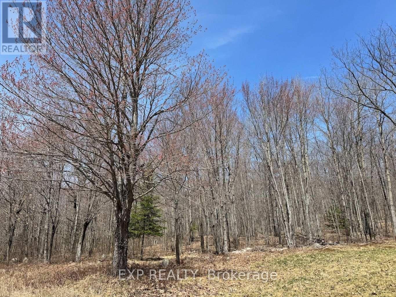 110 HORSHOE LANE Image 2