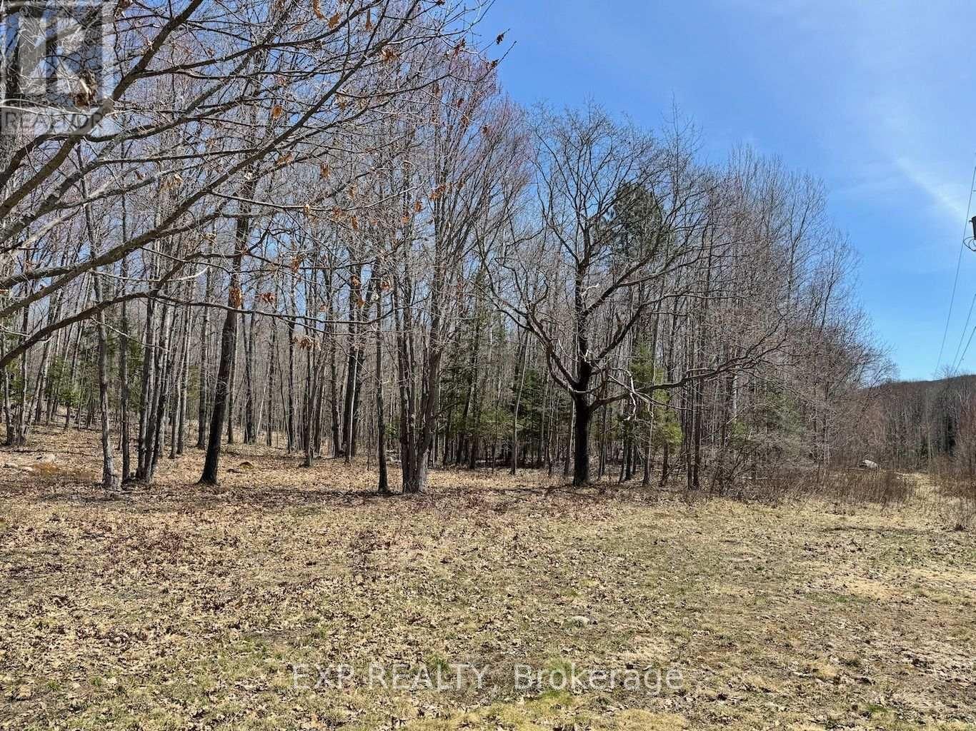 110 HORSHOE LANE Image 3