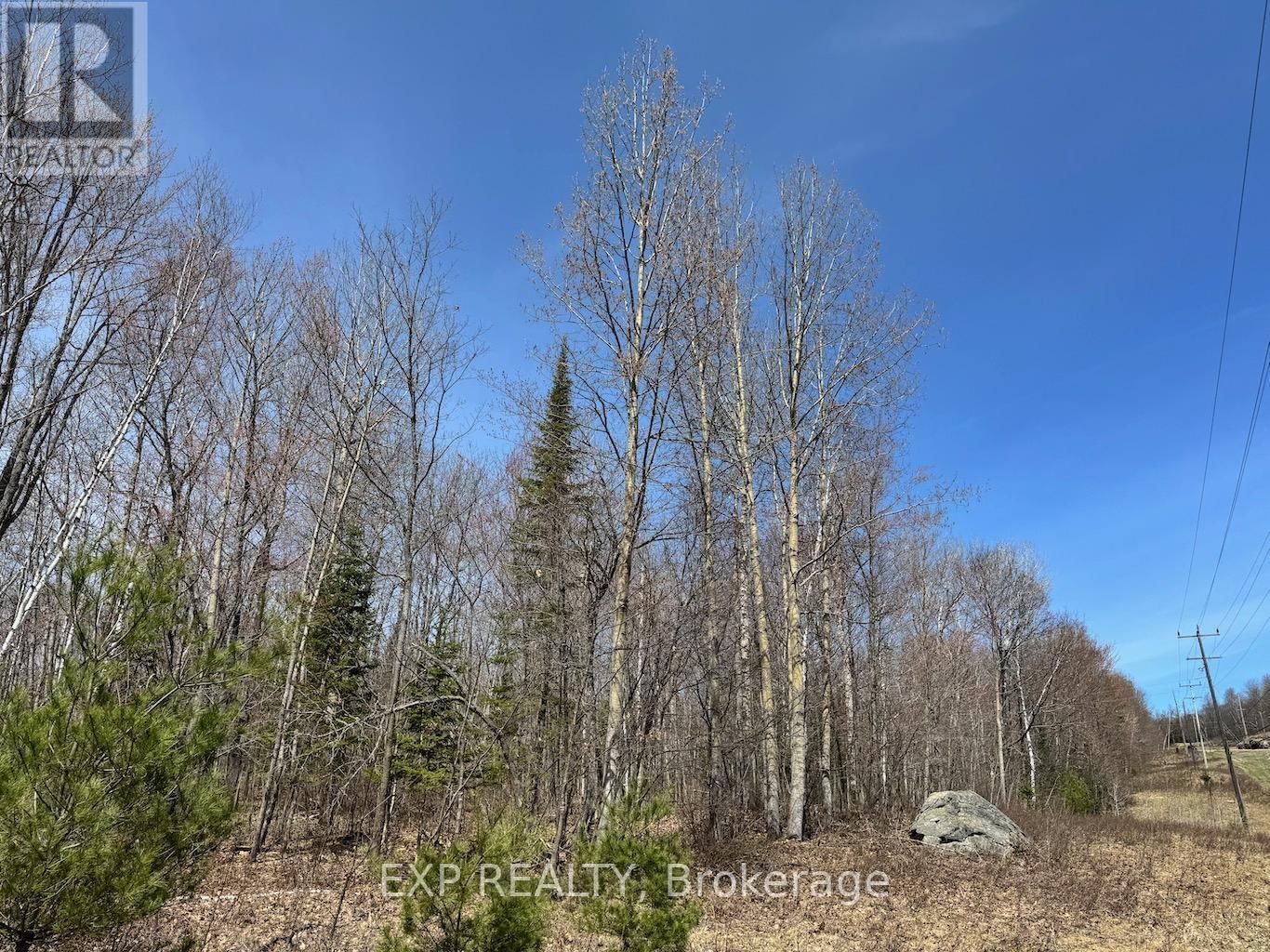110 HORSHOE LANE Image 5