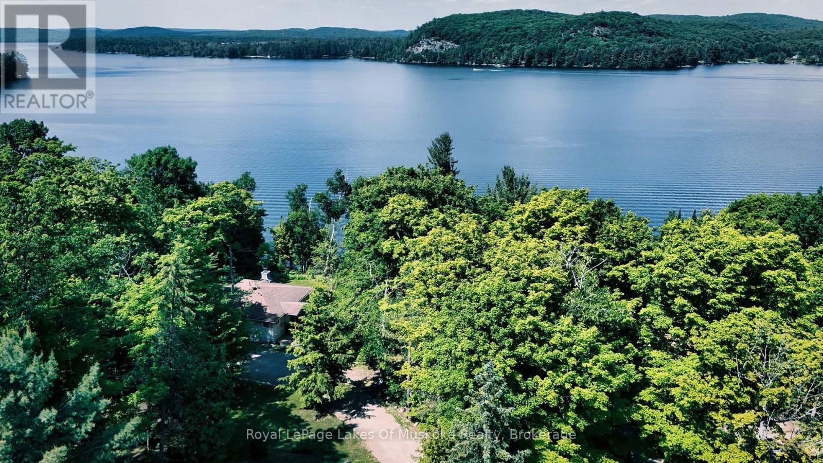 Primary Property View
