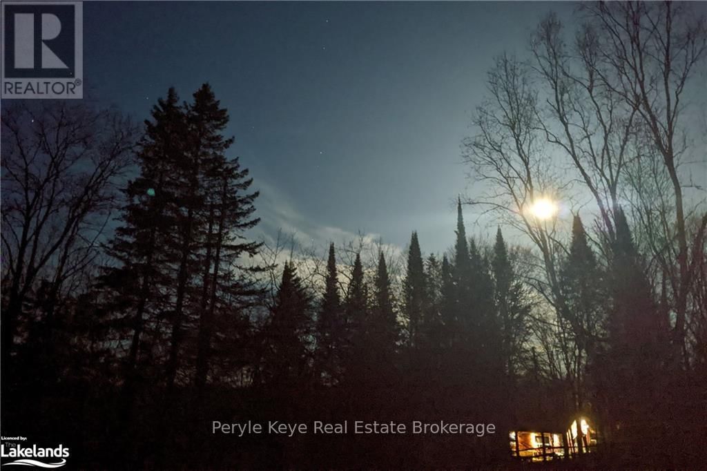 1322 BRITANNIA ROAD Image 41