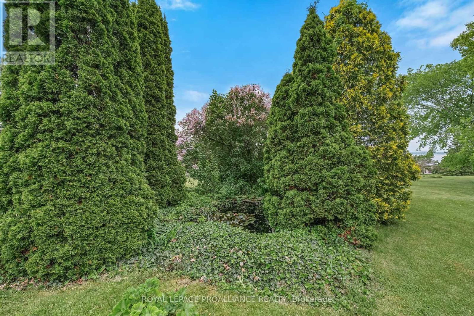 3286 COUNTY ROAD 3 Image 34