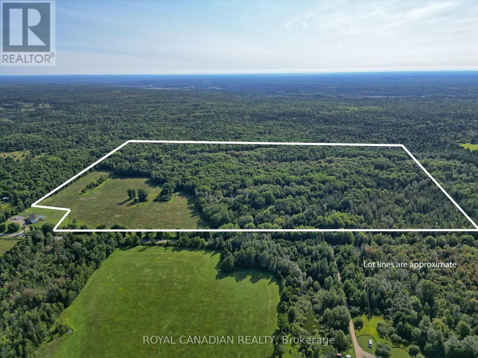 Primary Property View
