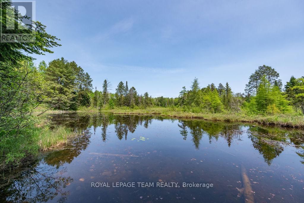 188 PAUGH LAKE ROAD Image 9