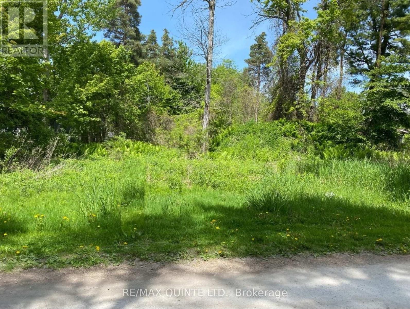 149 EVERGREEN LANE Image 1