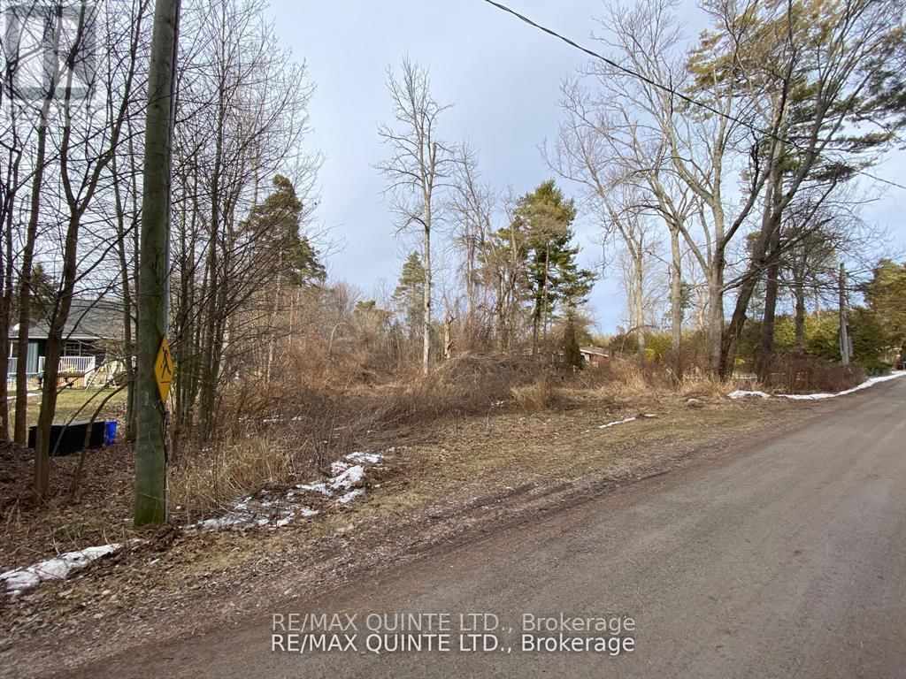 149 EVERGREEN LANE Image 3