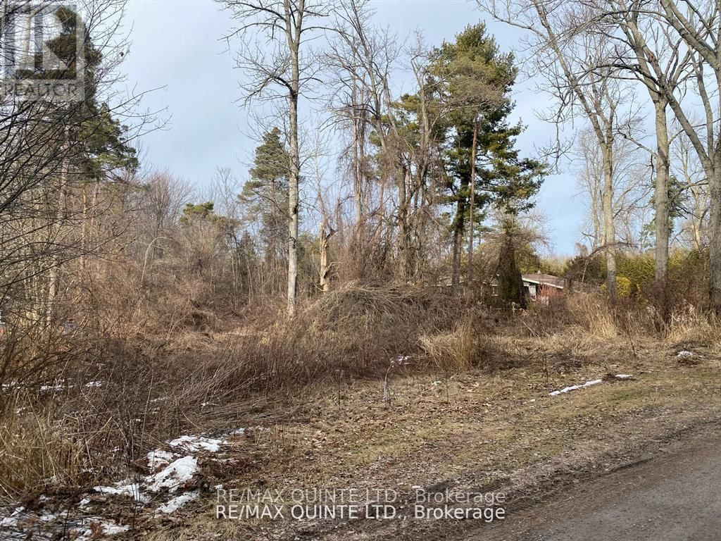 149 EVERGREEN LANE Image 4