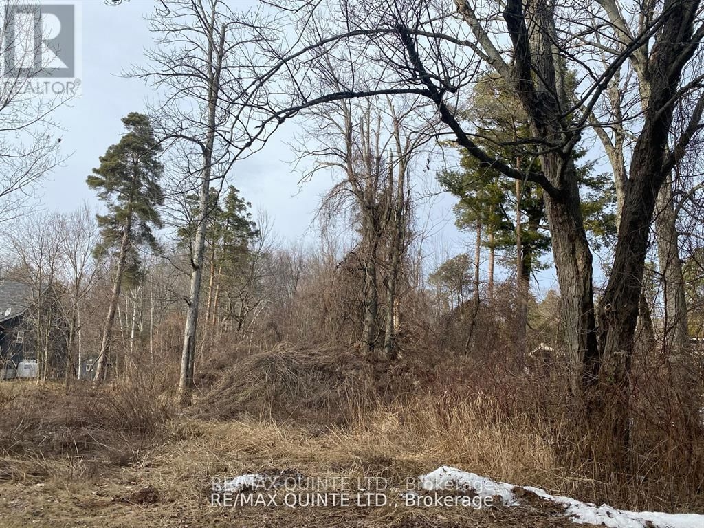 149 EVERGREEN LANE Image 6