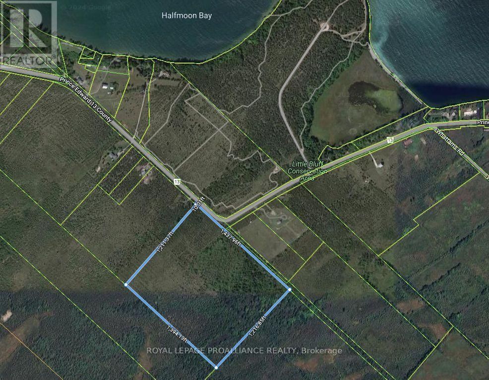 3526 COUNTY RD 13 Image 4