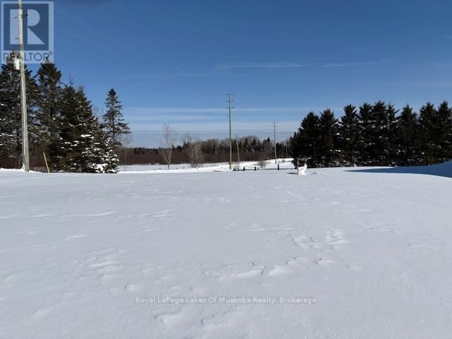 1105 OLD MUSKOKA ROAD Image 32