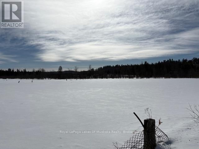 1105 OLD MUSKOKA ROAD Image 33