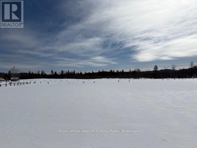 1105 OLD MUSKOKA ROAD Image 35