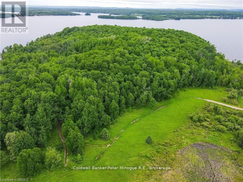 Primary Property View