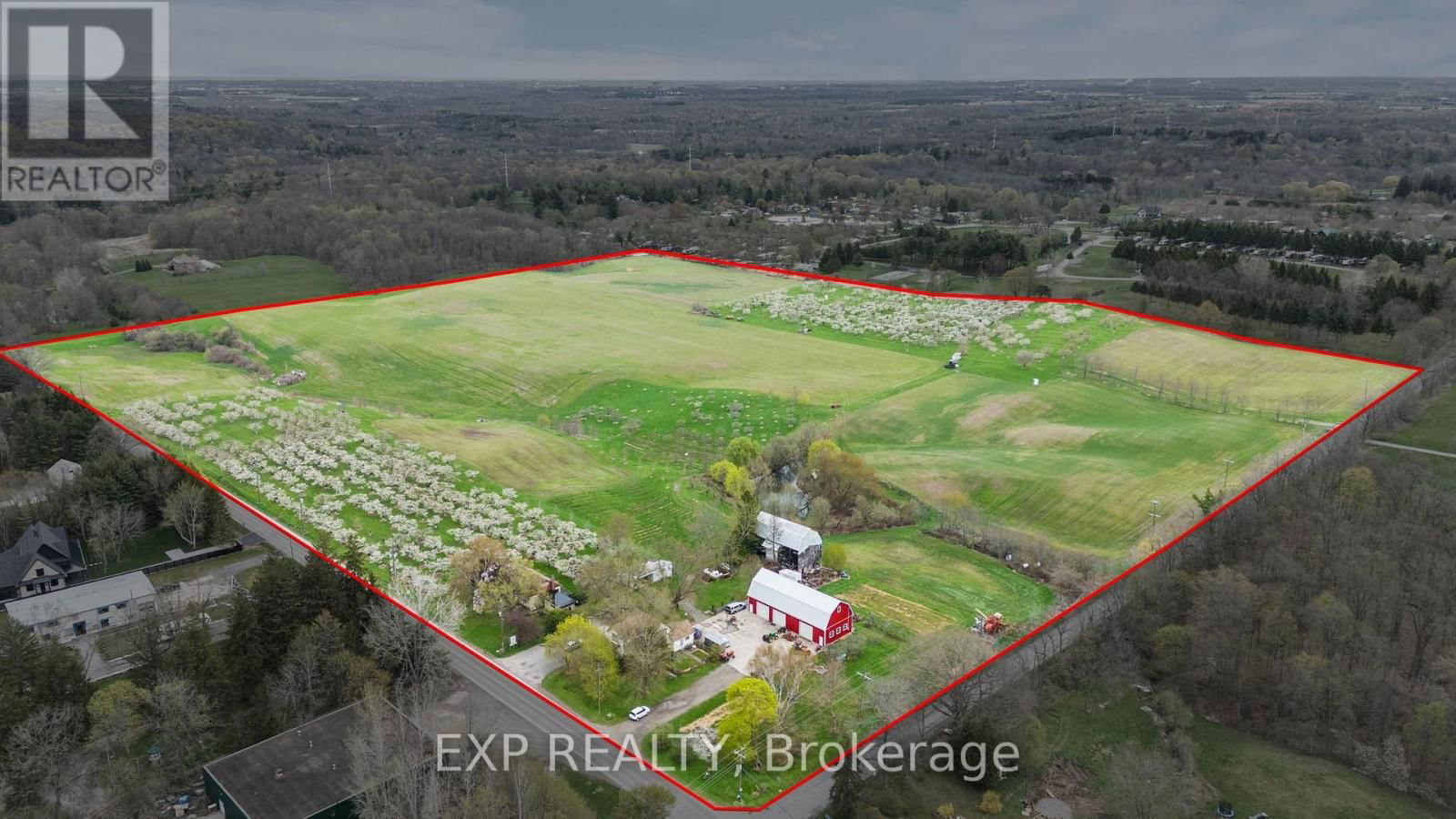 Primary Property View
