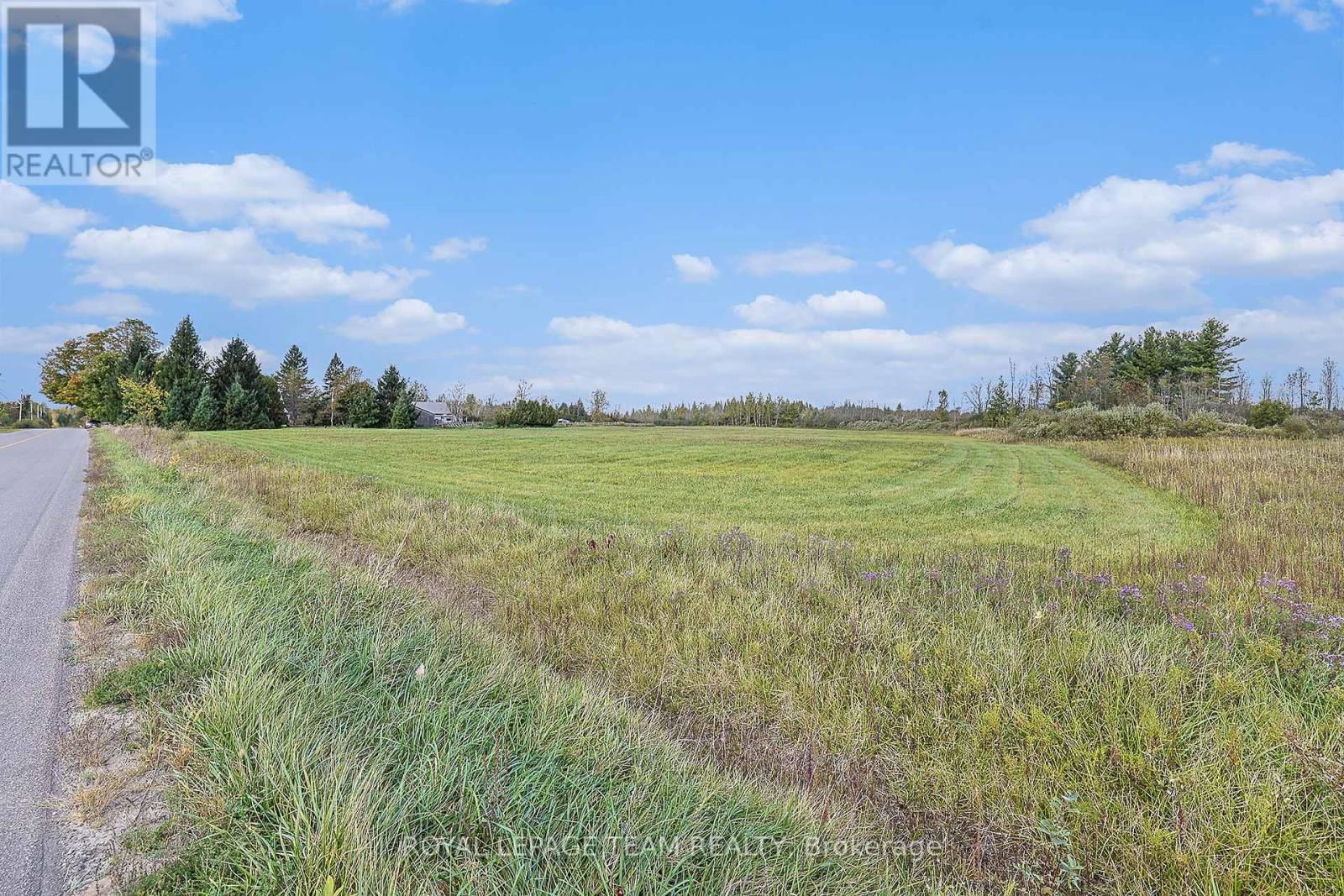 Primary Property View