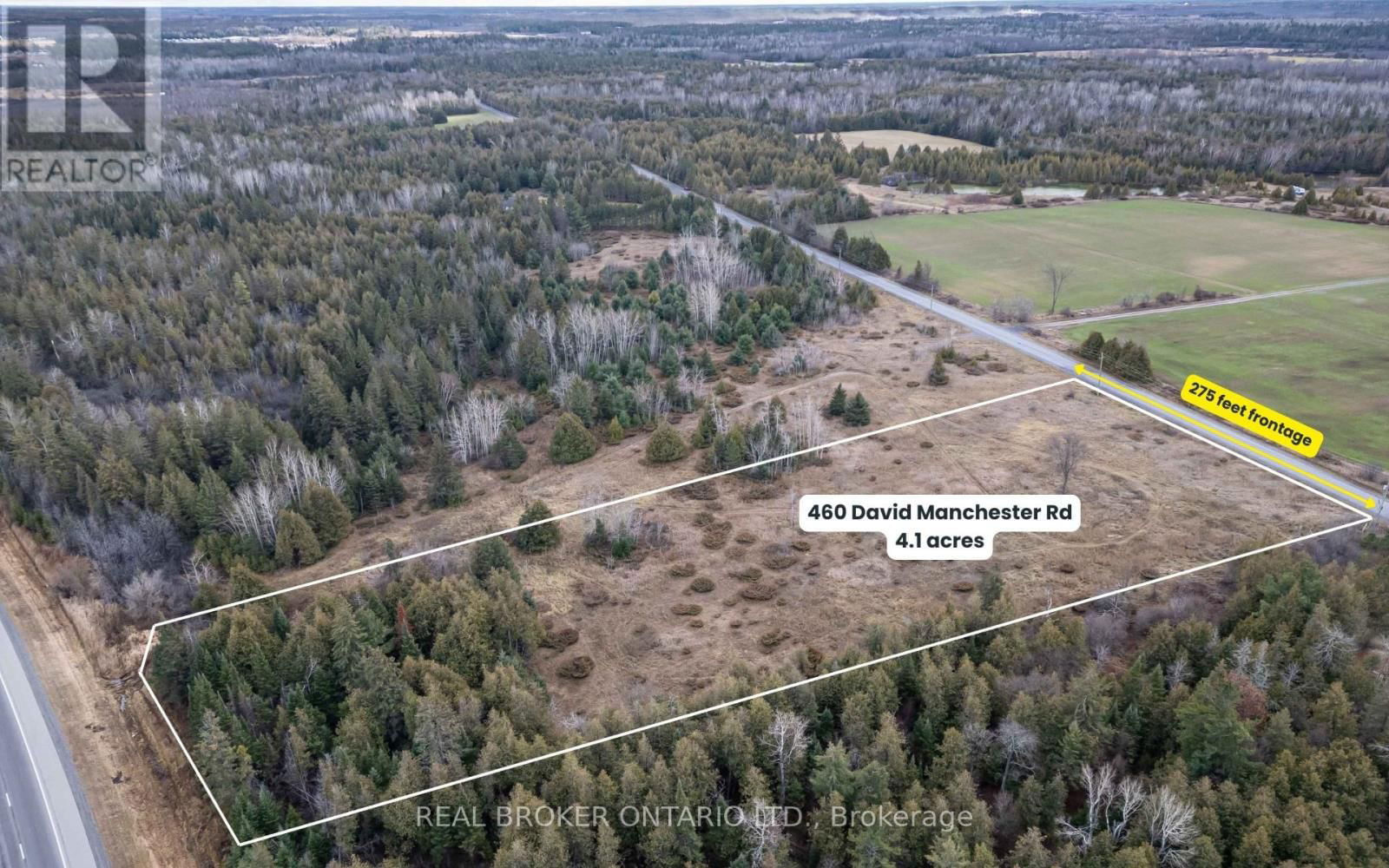 Primary Property View