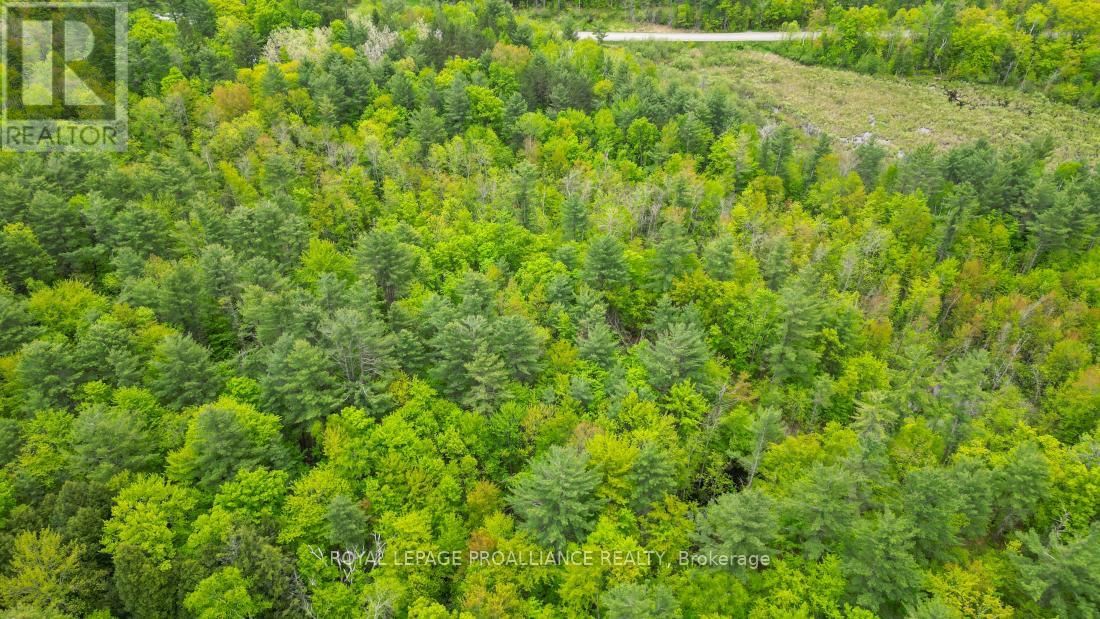 8 CLARK LINE ROAD Image 10