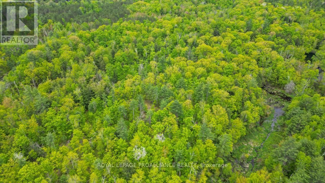 8 CLARK LINE ROAD Image 11