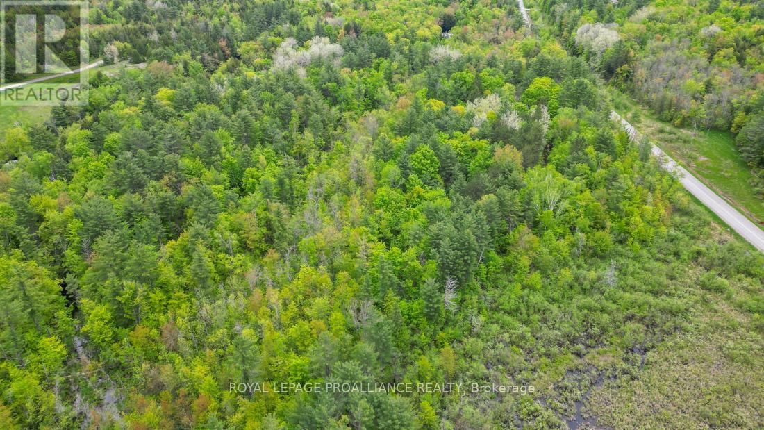 8 CLARK LINE ROAD Image 12