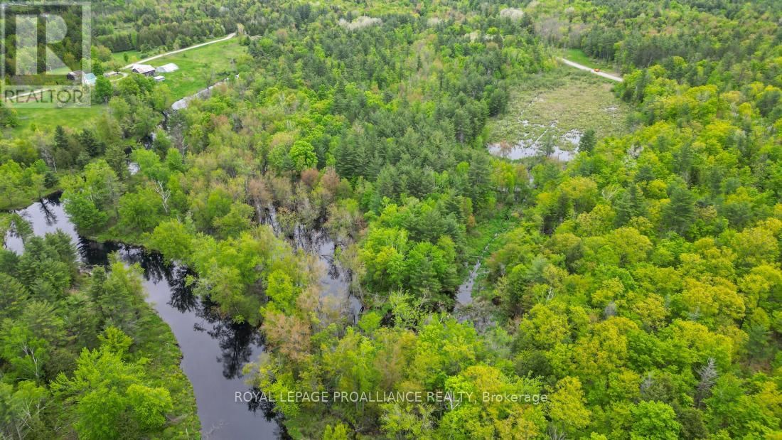 8 CLARK LINE ROAD Image 14
