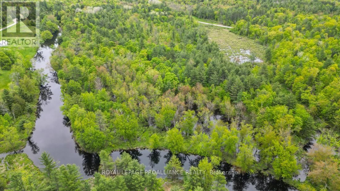 8 CLARK LINE ROAD Image 15