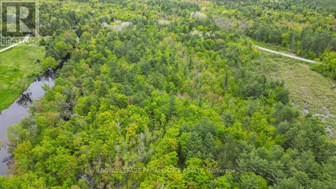 8 CLARK LINE ROAD Image 16