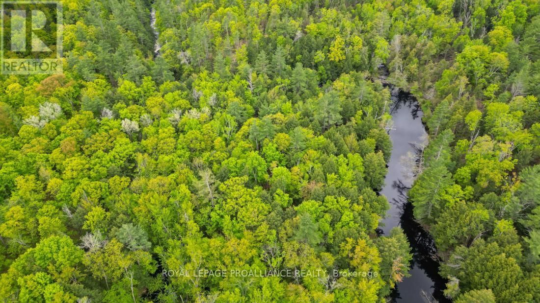 8 CLARK LINE ROAD Image 17