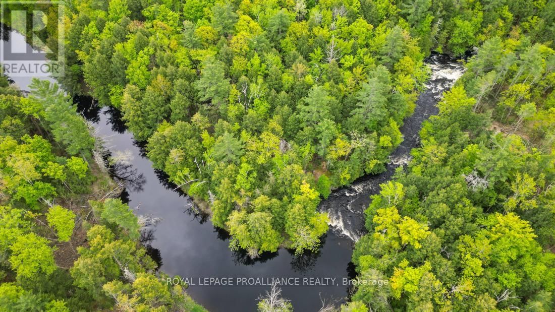 8 CLARK LINE ROAD Image 18