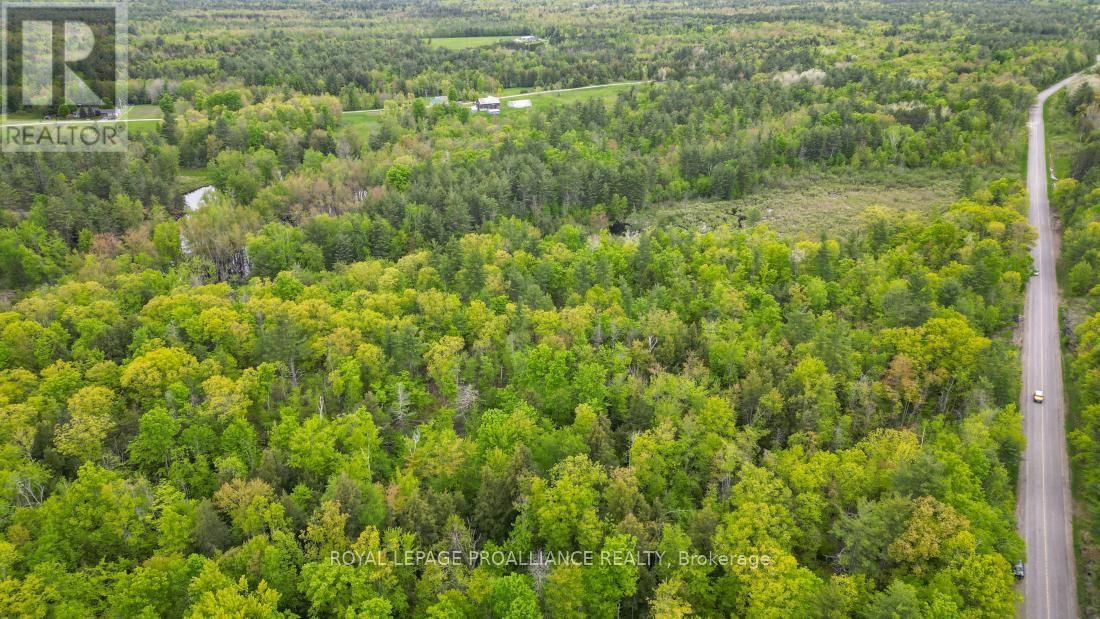 8 CLARK LINE ROAD Image 19