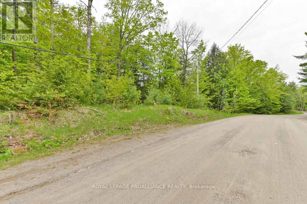 8 CLARK LINE ROAD Image 21