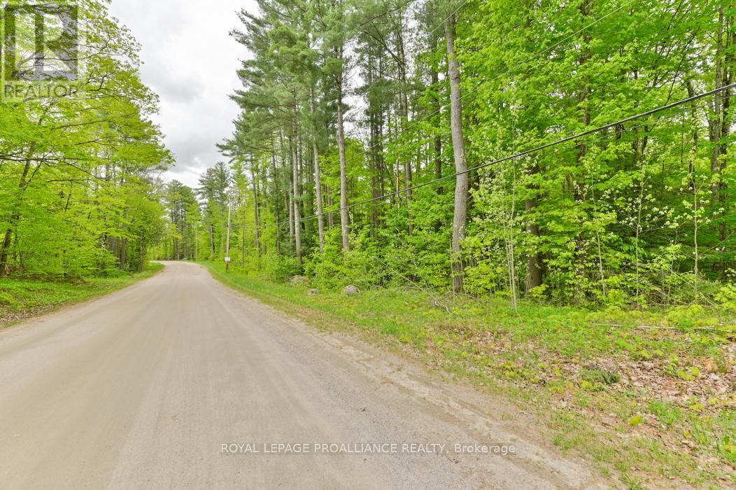 8 CLARK LINE ROAD Image 22