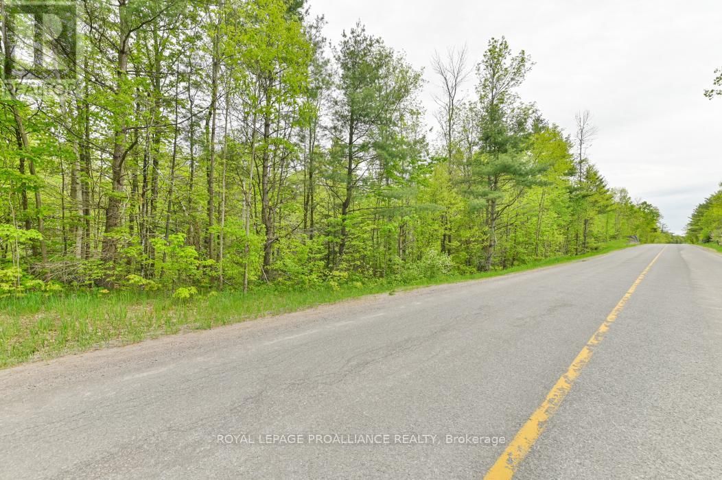 8 CLARK LINE ROAD Image 23