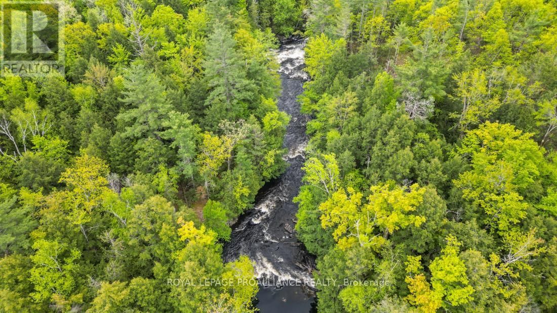 8 CLARK LINE ROAD Image 3