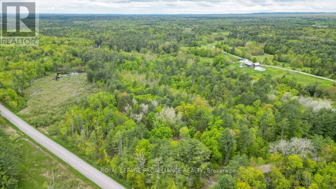 8 CLARK LINE ROAD Image 4
