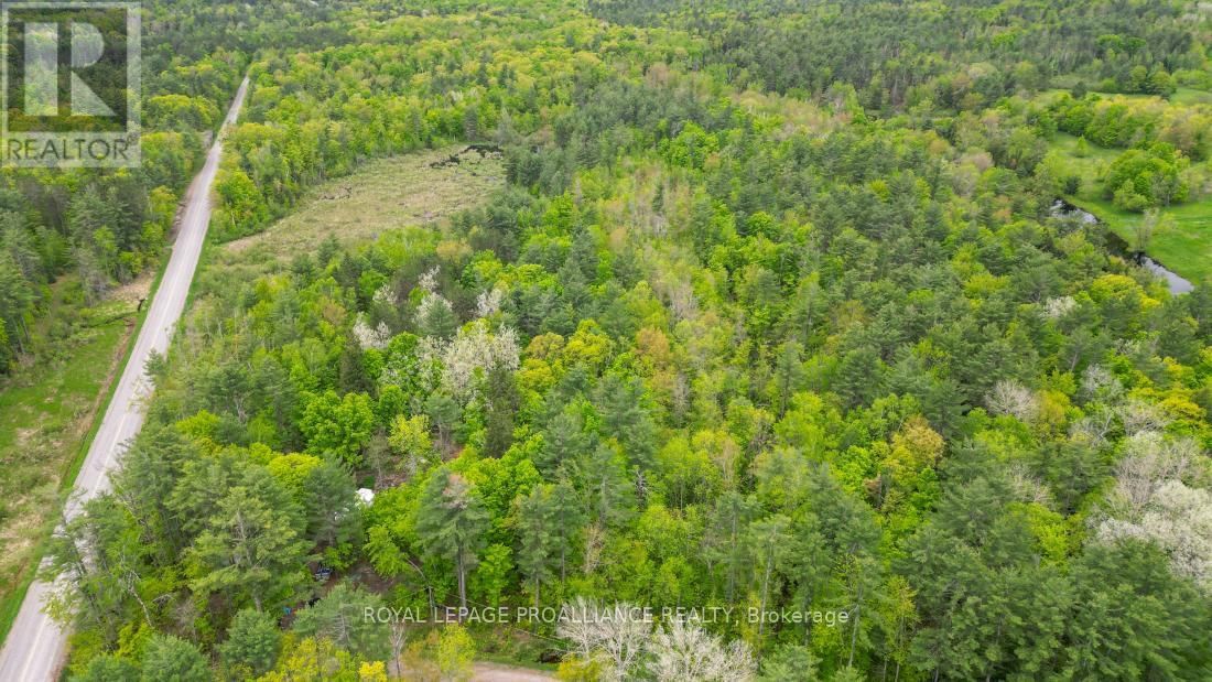 8 CLARK LINE ROAD Image 5