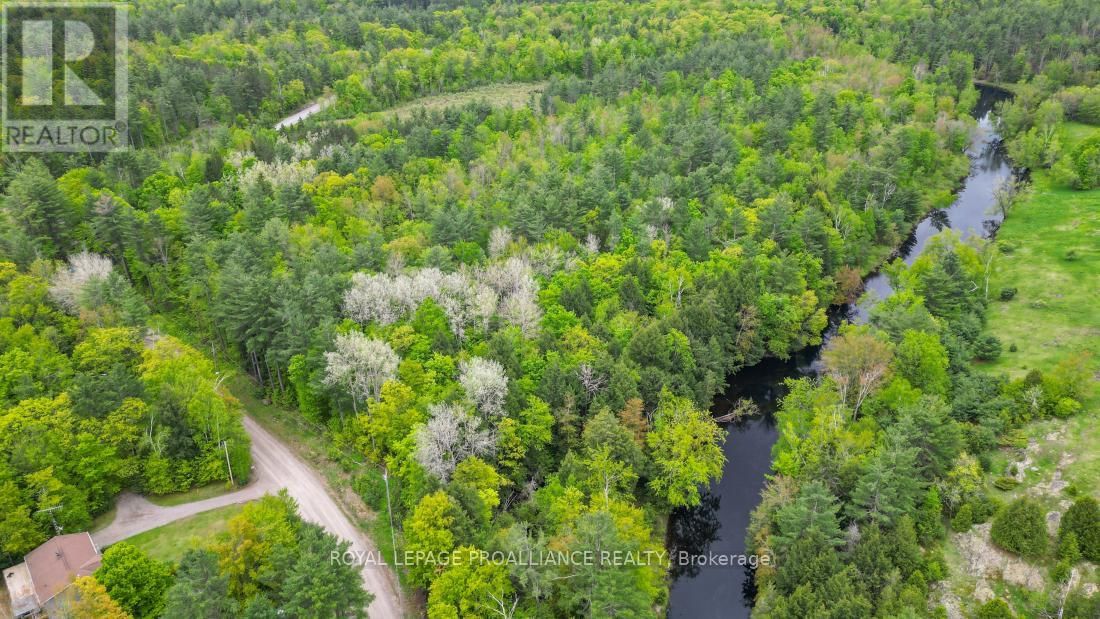 8 CLARK LINE ROAD Image 6
