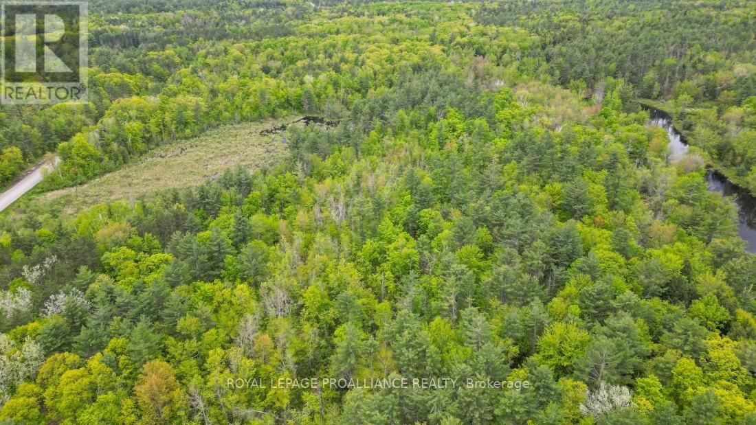 8 CLARK LINE ROAD Image 7