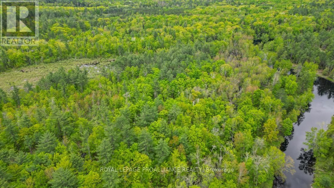 8 CLARK LINE ROAD Image 8