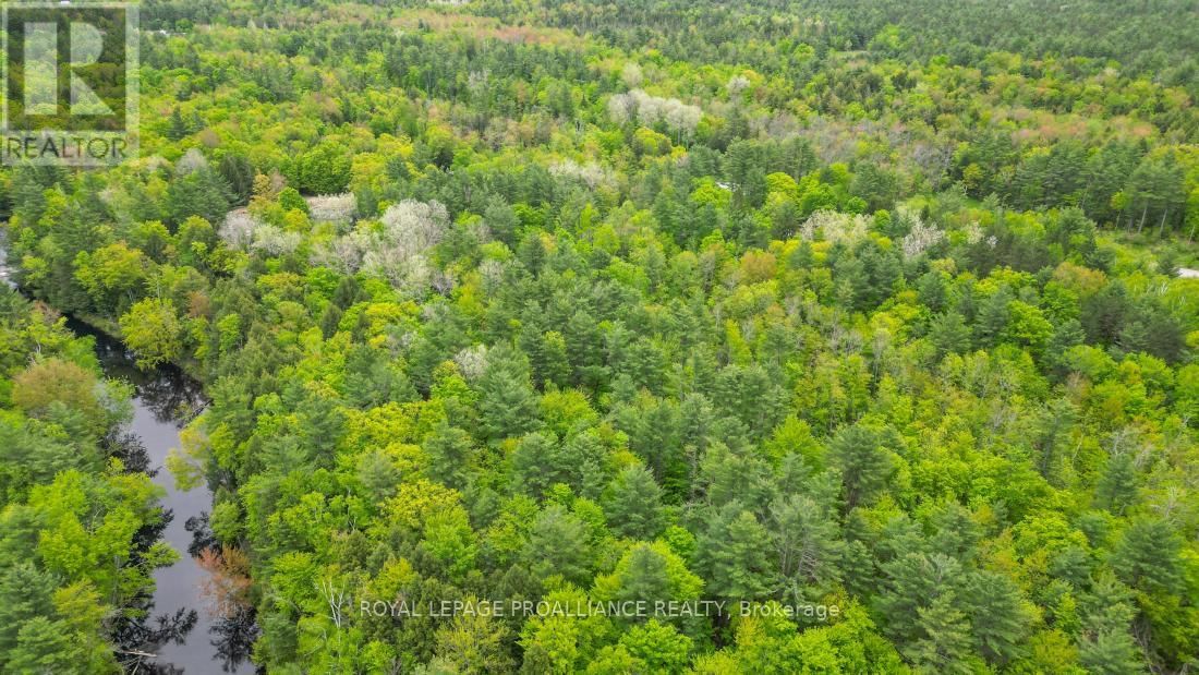 8 CLARK LINE ROAD Image 9