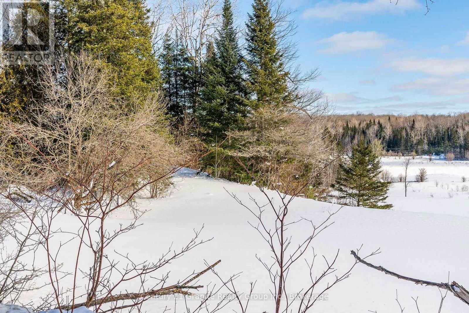 3783 MONCK ROAD Image 41