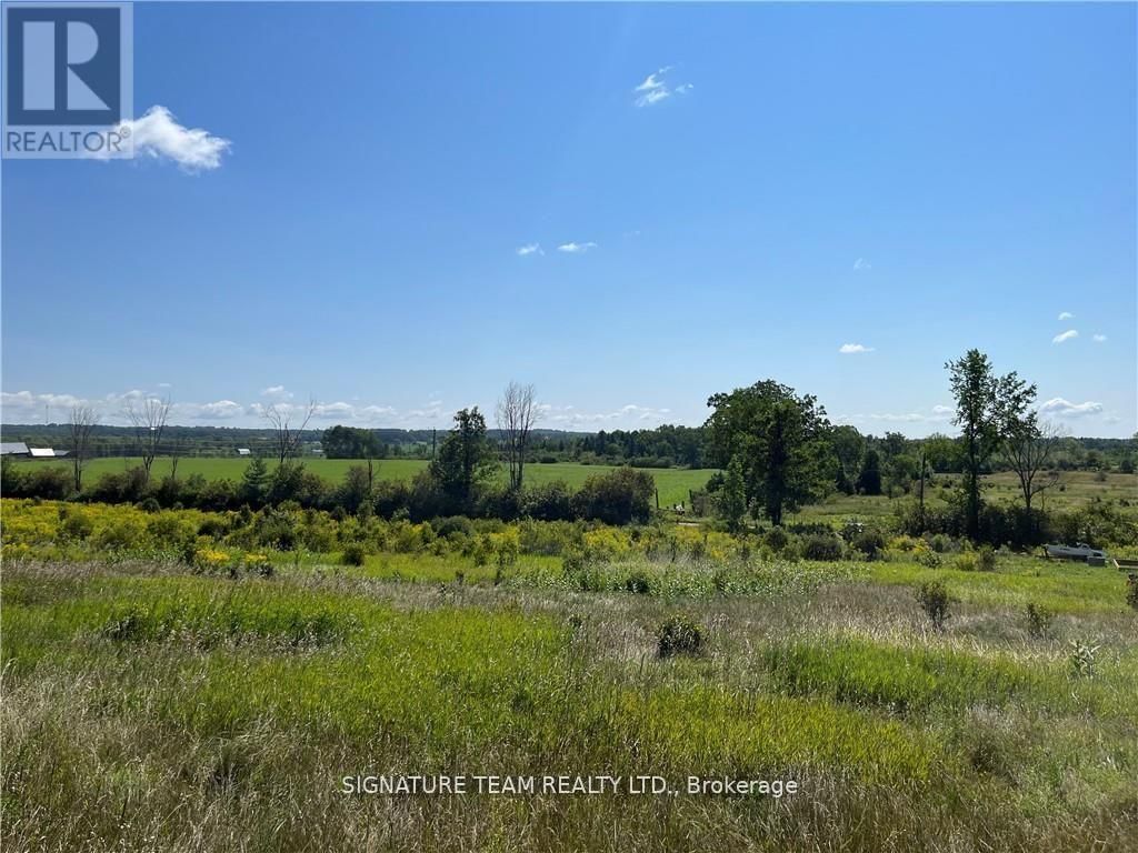 0 CODE ROAD Image 18