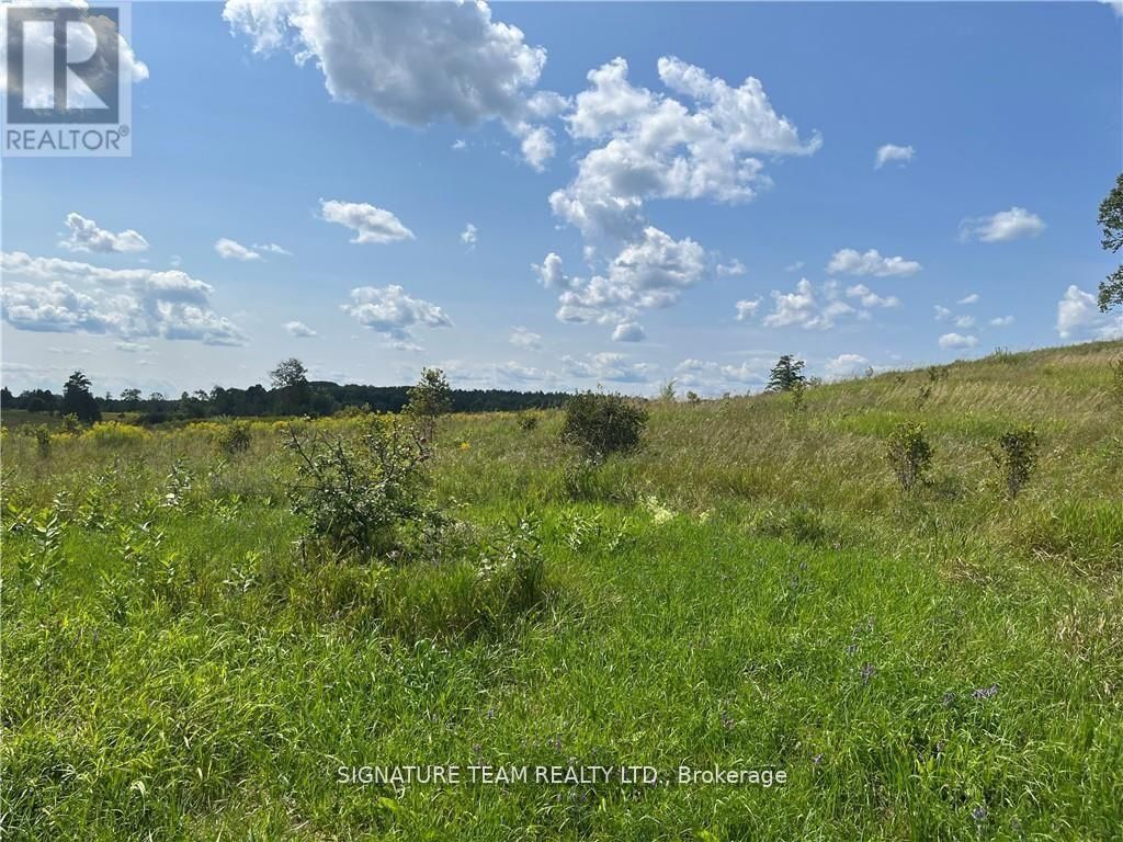 0 CODE ROAD Image 22