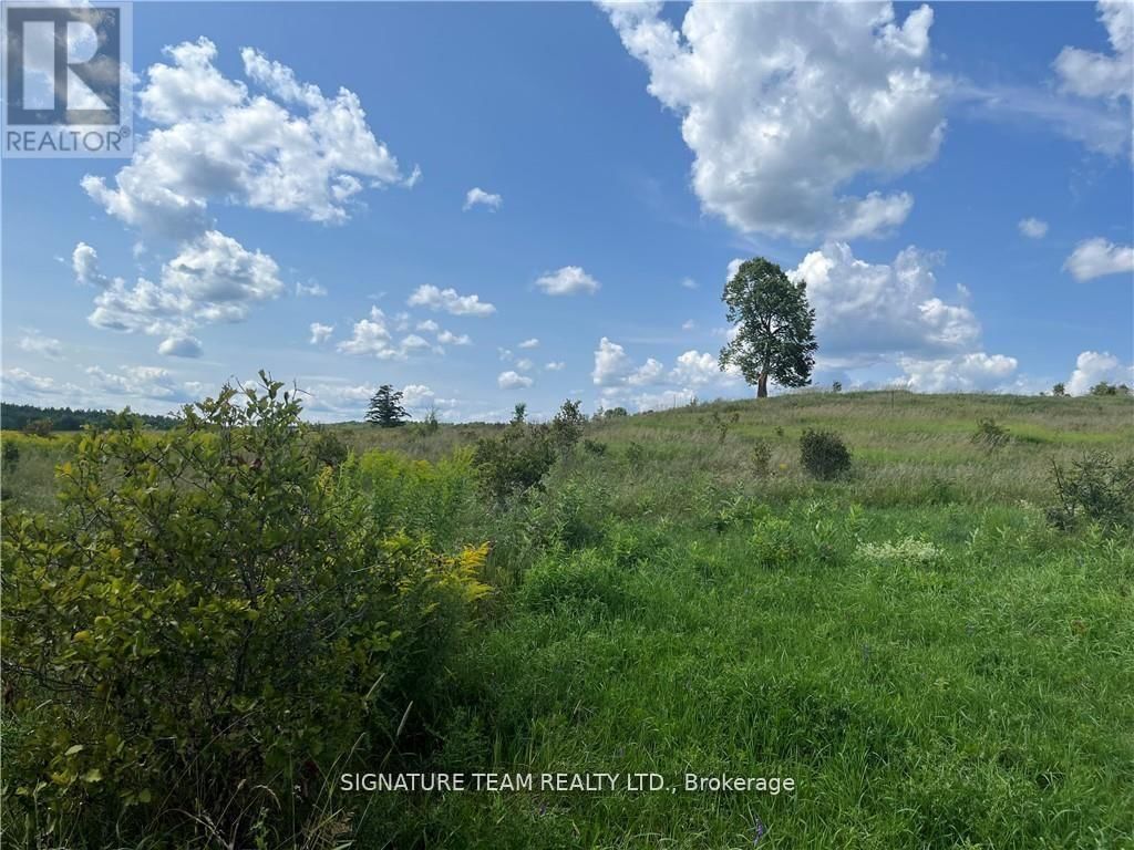 0 CODE ROAD Image 23