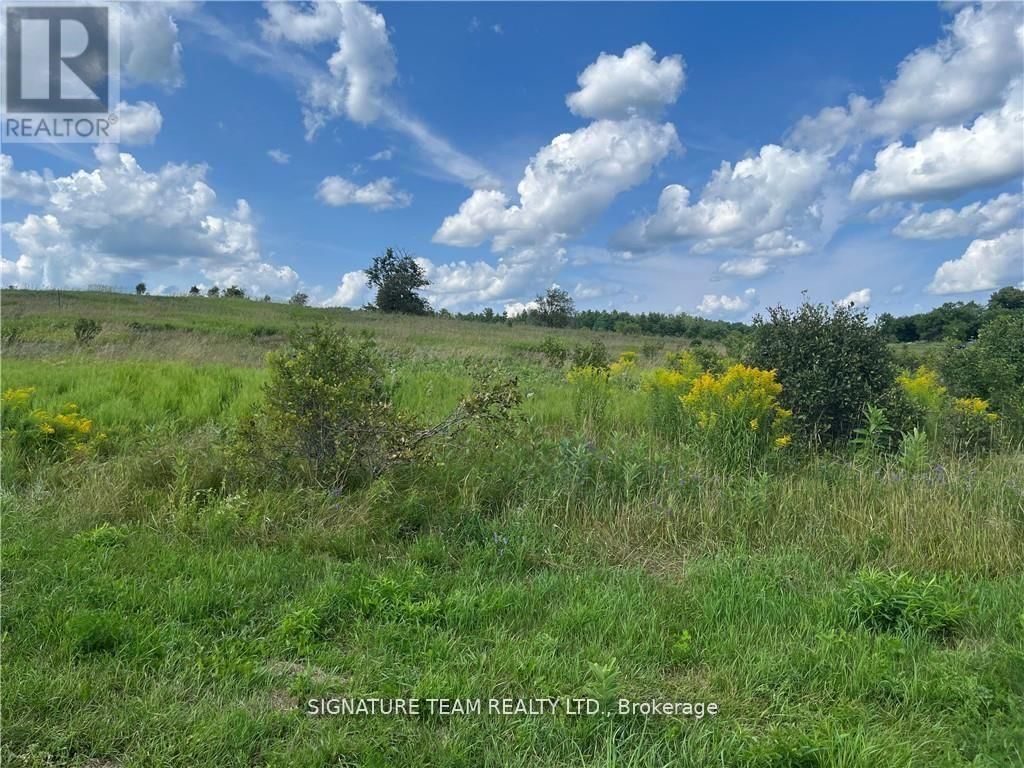 0 CODE ROAD Image 24