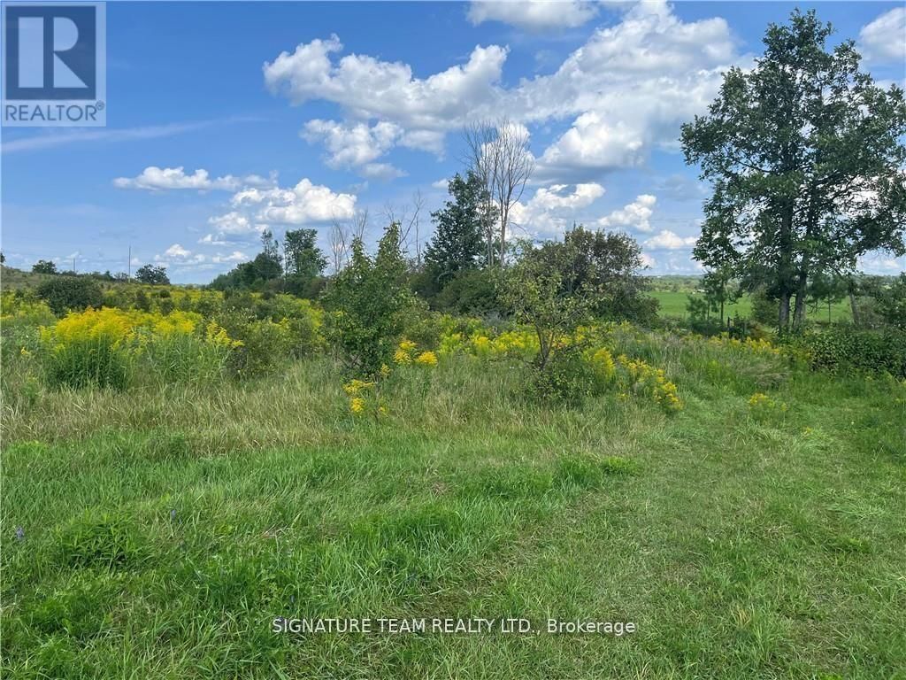 0 CODE ROAD Image 25