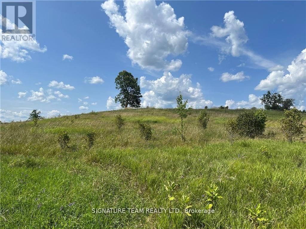 0 CODE ROAD Image 26