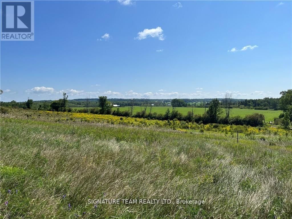 0 CODE ROAD Image 29