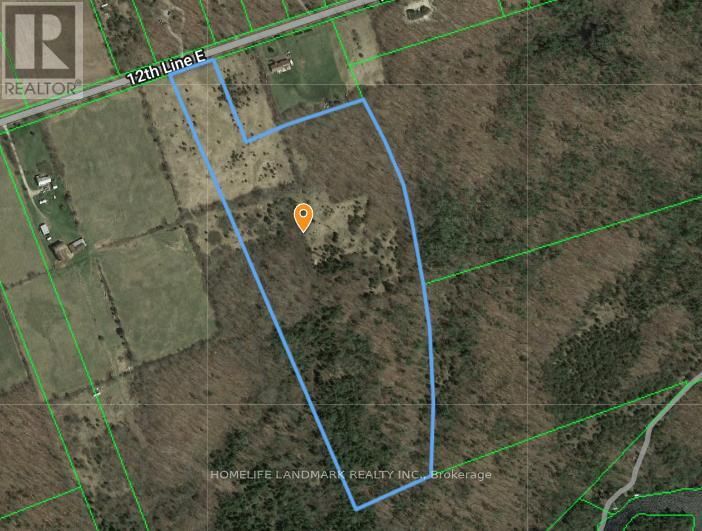 Primary Property View