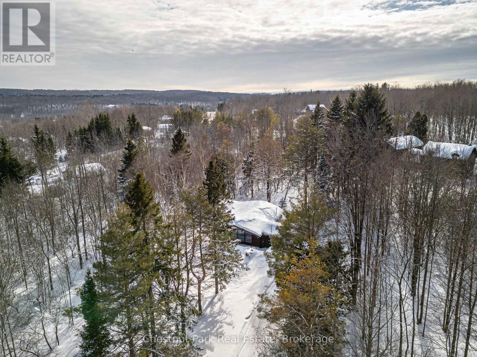Primary Property View