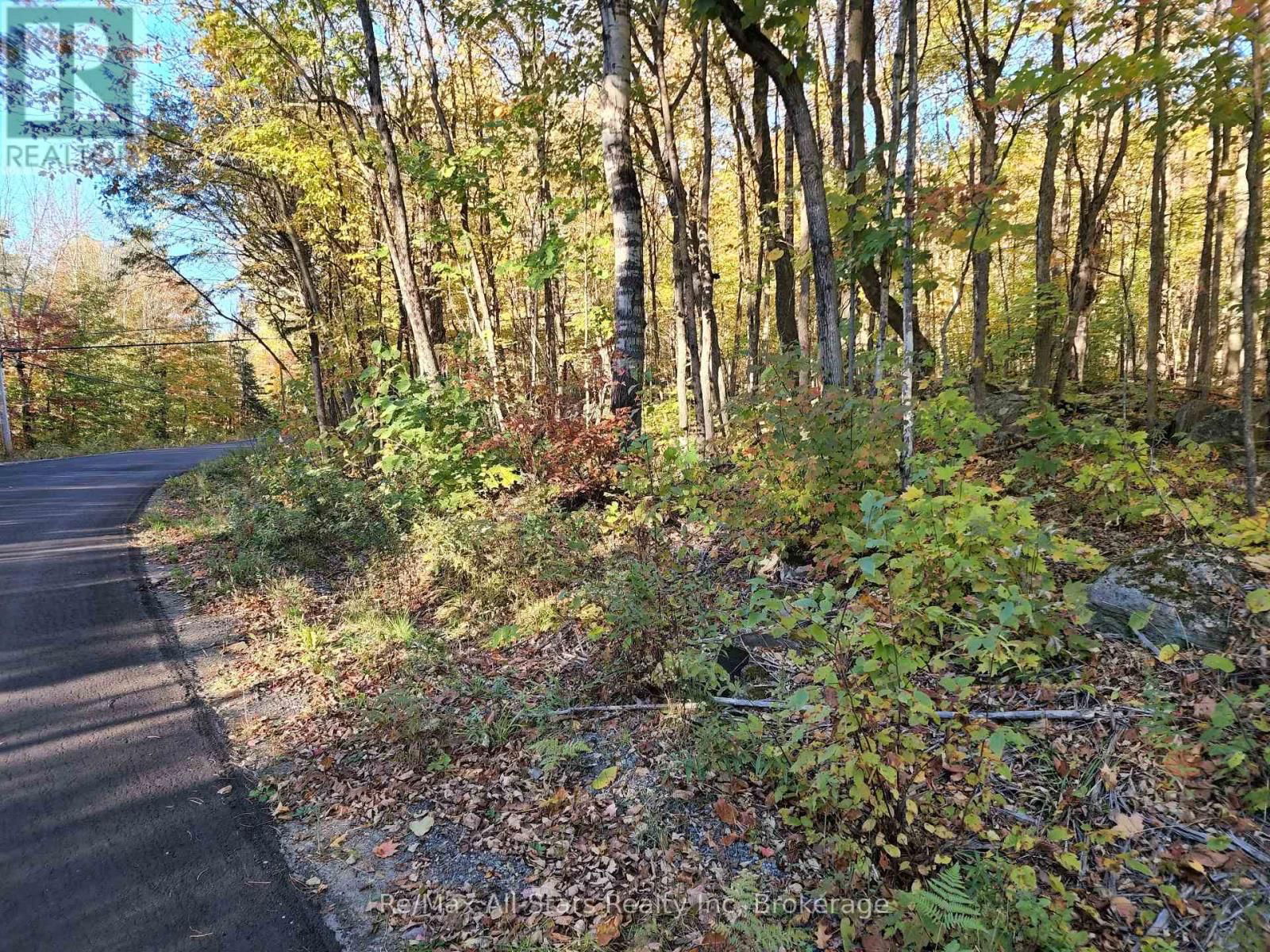 A TALLY HO WINTER PARK ROAD Image 10